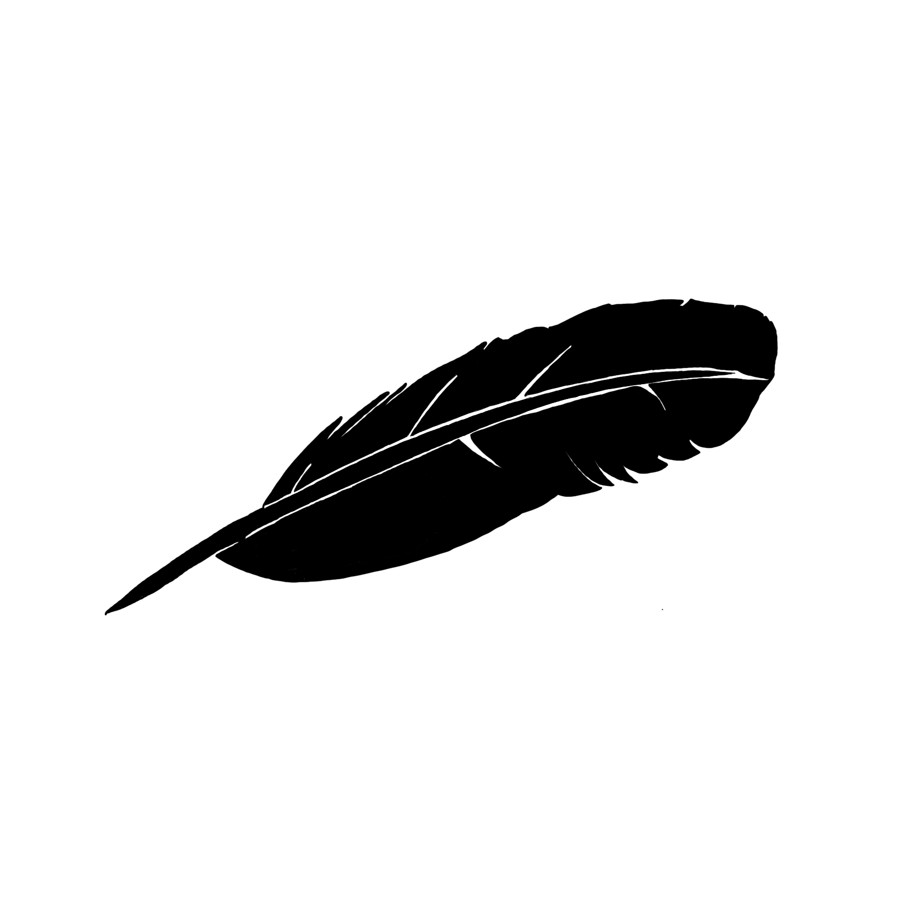 Dessin en noir et blanc d'une plume d'oiseau noire.